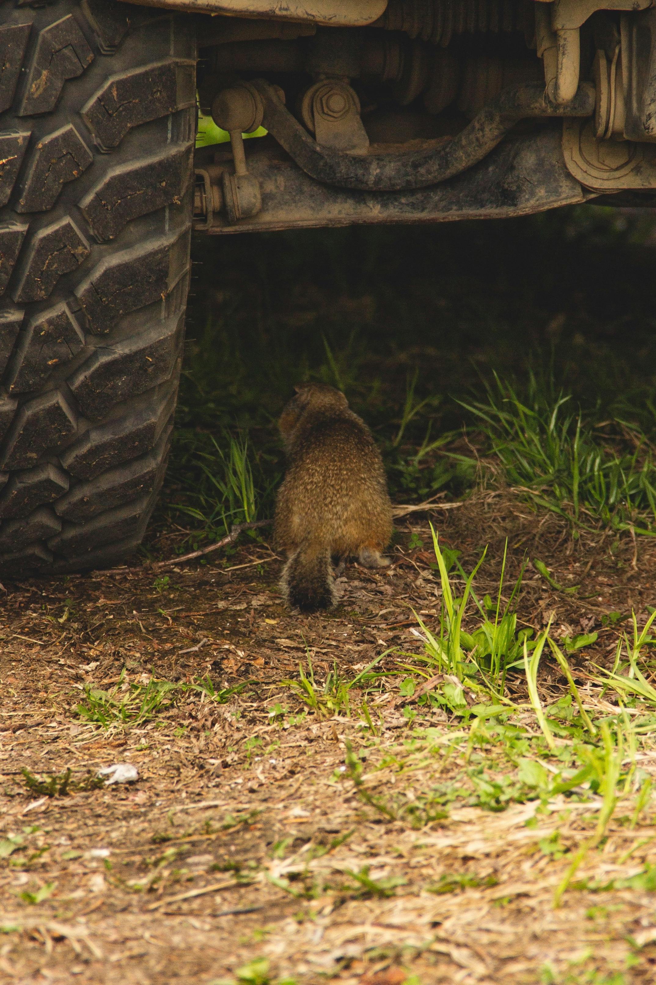 Valentina Bondarenko Fotoğrafçılık