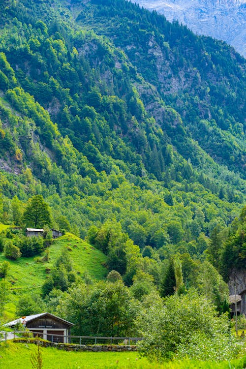 Houses on Mountain Area