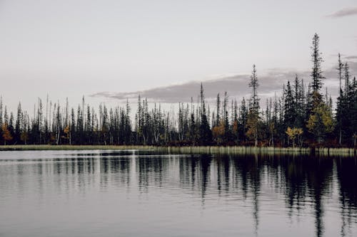 Gratis lagerfoto af baggrund, landskab, natur