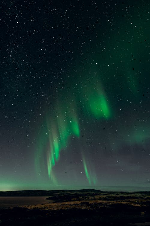 Kostnadsfri bild av aurora, grönt ljus, hav