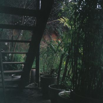 Plant – Asheville, USA