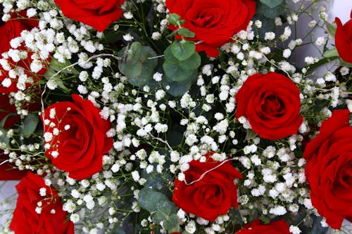 Bunch of Red Roses in Close-up Photography