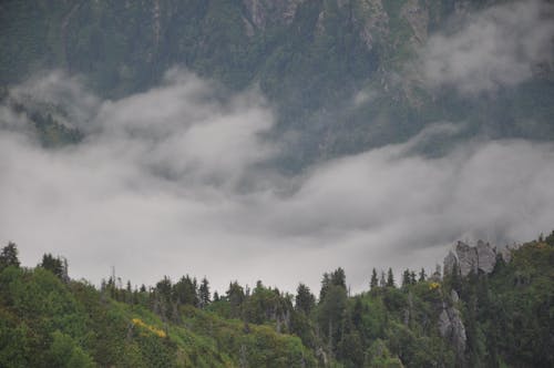 Darmowe zdjęcie z galerii z chmury, dolina, drzewa