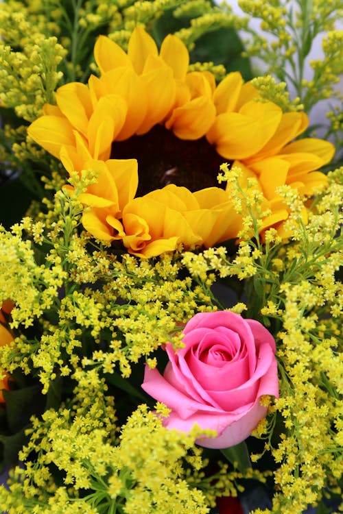 Flowers in Close Up Photography