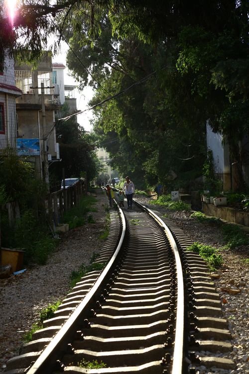 Free Scenic view of individuals walking along a sunlit railroad track lined with trees in an urban area. Stock Photo