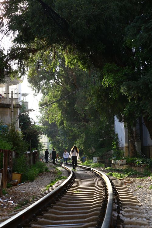 Free A group walks on a railway lined with lush trees during summer, creating a serene scene. Stock Photo