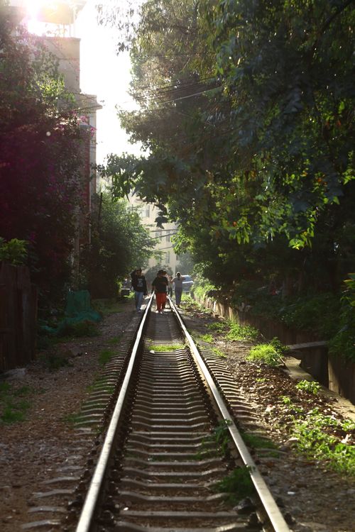 Free People walk alongside train tracks surrounded by lush greenery in an urban setting. Stock Photo