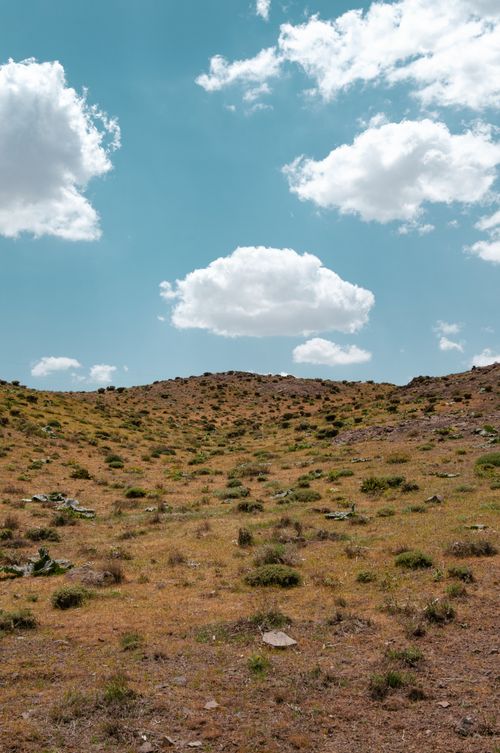 Free Serene hillside view under a sky dotted with fluffy clouds, showcasing tranquil nature. Stock Photo