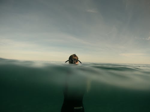 Immagine gratuita di acqua, immersione, mare