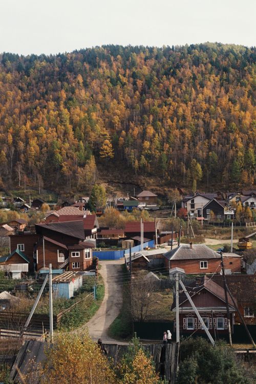 Aerial View of Houses Near the Green Trees · Free Stock Photo