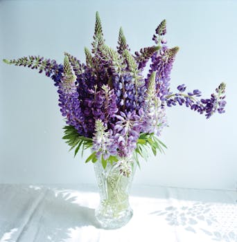 Beautiful bouquet of purple lupines in a glass vase, perfect for nature lovers and floral decor.