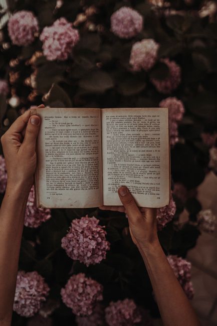 Hands holding an open book surrounded by blooming hydrangeas, creating a peaceful reading atmosphere.