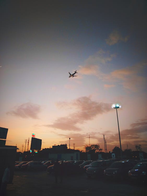 Free stock photo of above, airplanes, airport