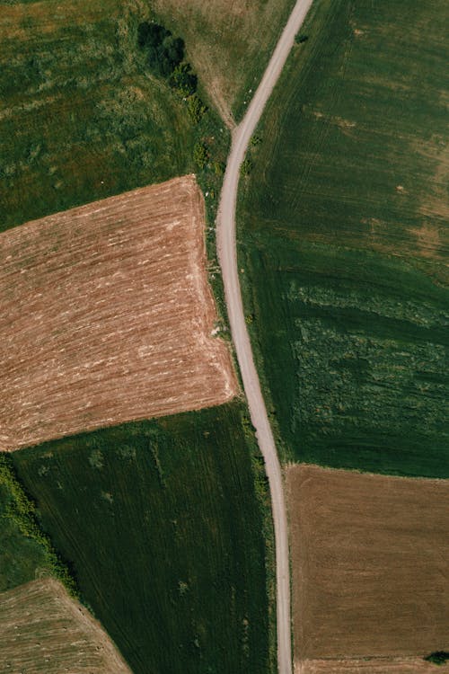 Imagine de stoc gratuită din câmpuri, drum, fotografie cu drona