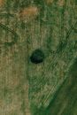 Field the question Images