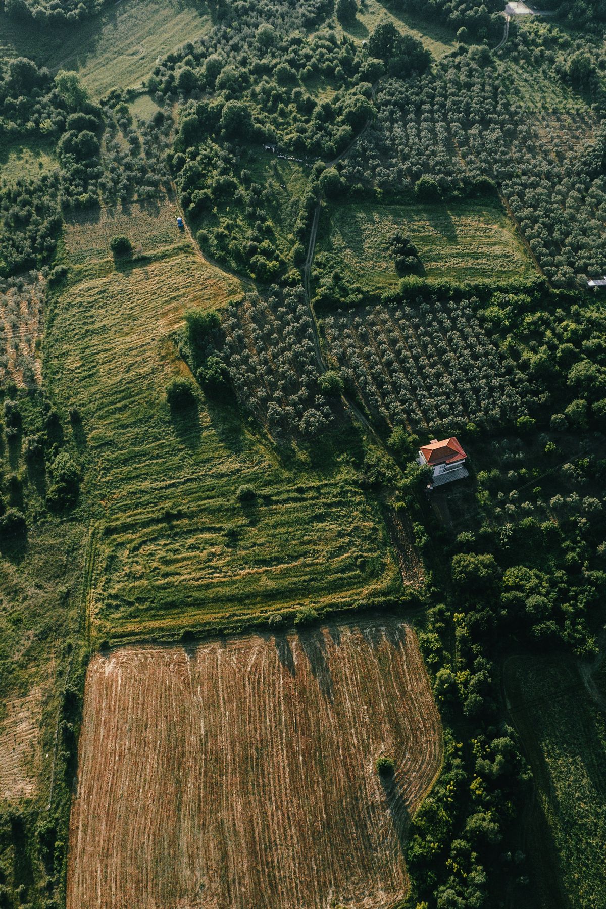 Aerial view of wooded land parcel in north Georgia