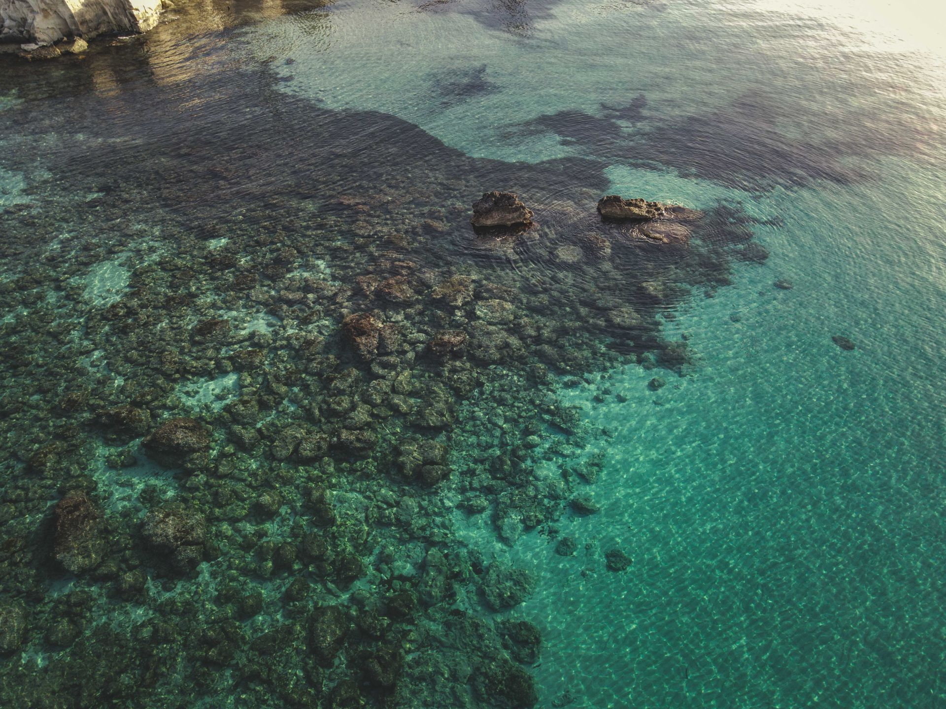 Underwater reef at Kei Islands