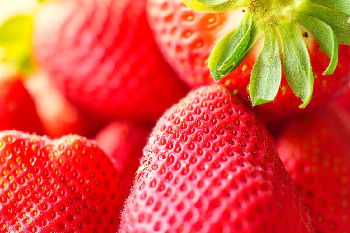 Red Strawberries in Close Up Photography · Free Stock Photo