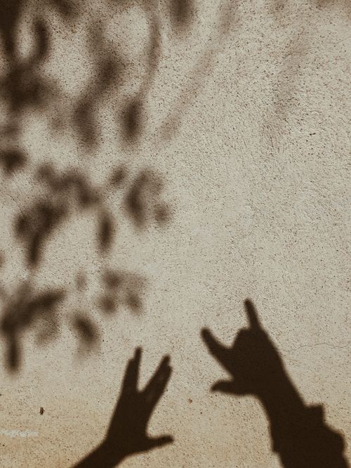 Free Shadows of hands on a sunlit wall showing creative gestures outdoors. Stock Photo