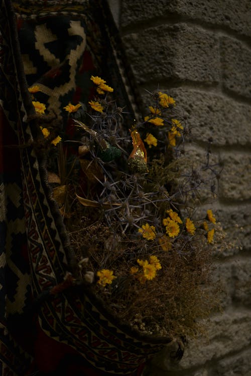 Ilmainen kuvapankkikuva tunnisteilla esteettinen tausta, keltaiset kukat, lähikuva