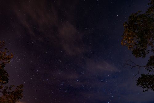 Free Starry night sky with tree silhouettes and scattered clouds, creating a serene natural scene. Stock Photo