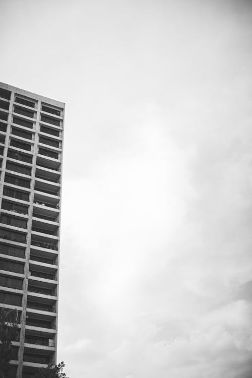 Foto profissional grátis de arranha-céus, construção, escala de cinza