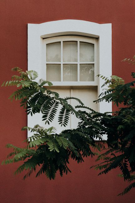 Charming colonial window framed by vibrant greenery on a red wall in Aracati, Brazil.