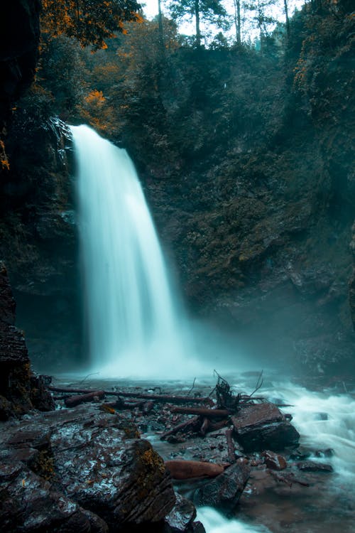 Photos gratuites de cascade, eau, forêt