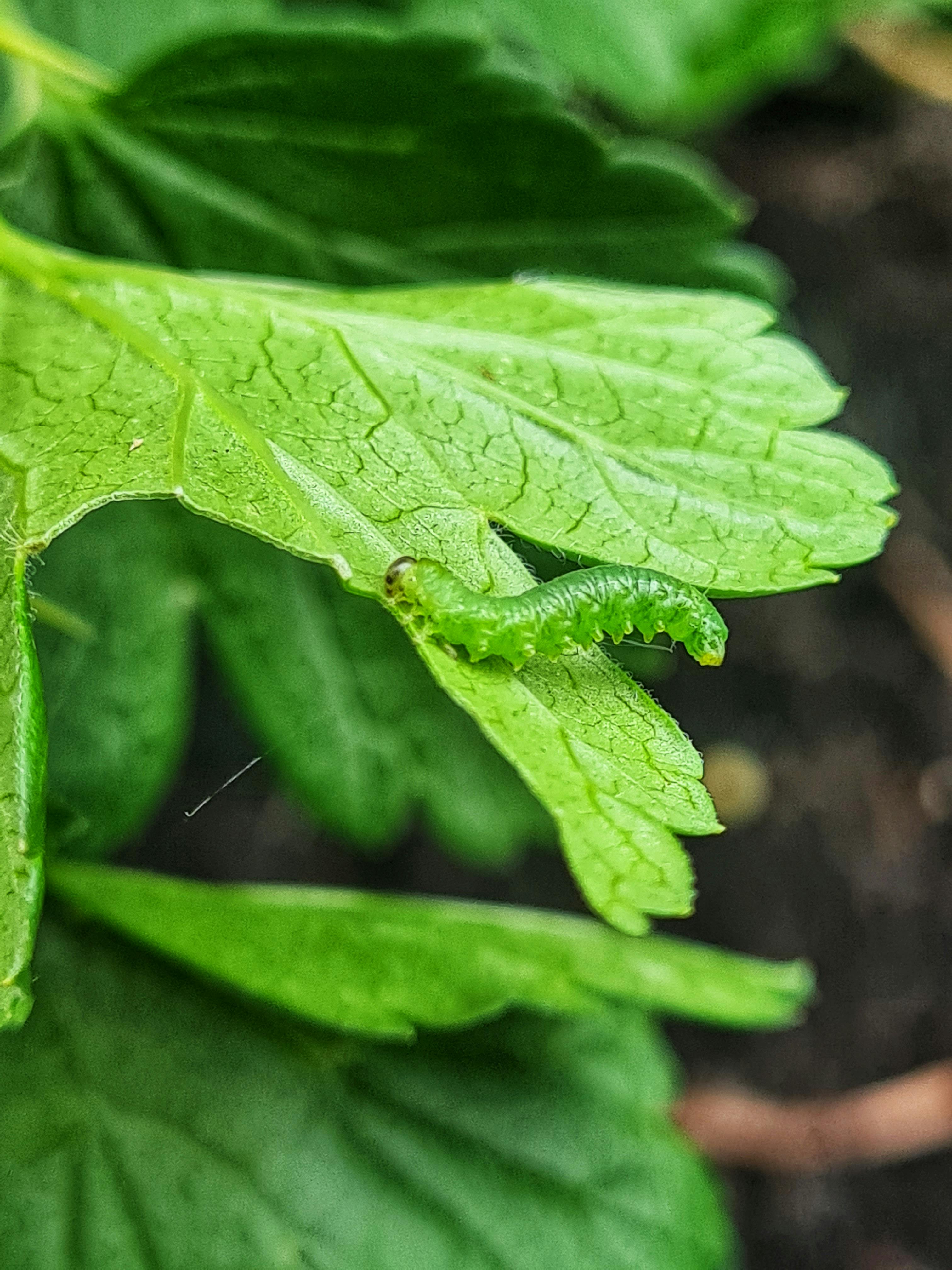 Claire Francis Fotografie