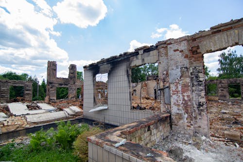 Základová fotografie zdarma na téma hniloba, kalamita, léto