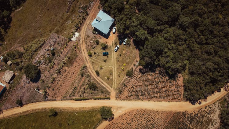 House In Wasteland Near Forest