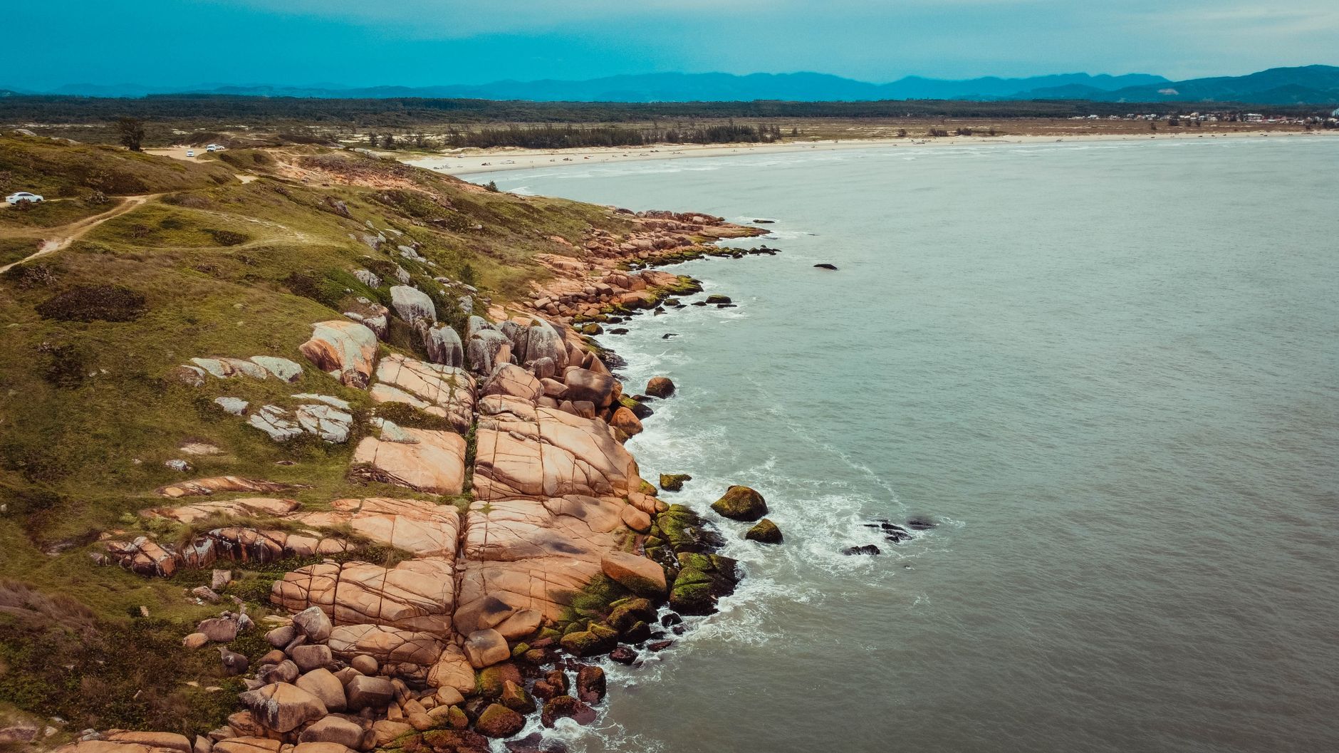 Dedetização em Navegantes/SC: Eco Descupim Soluções Técnicas