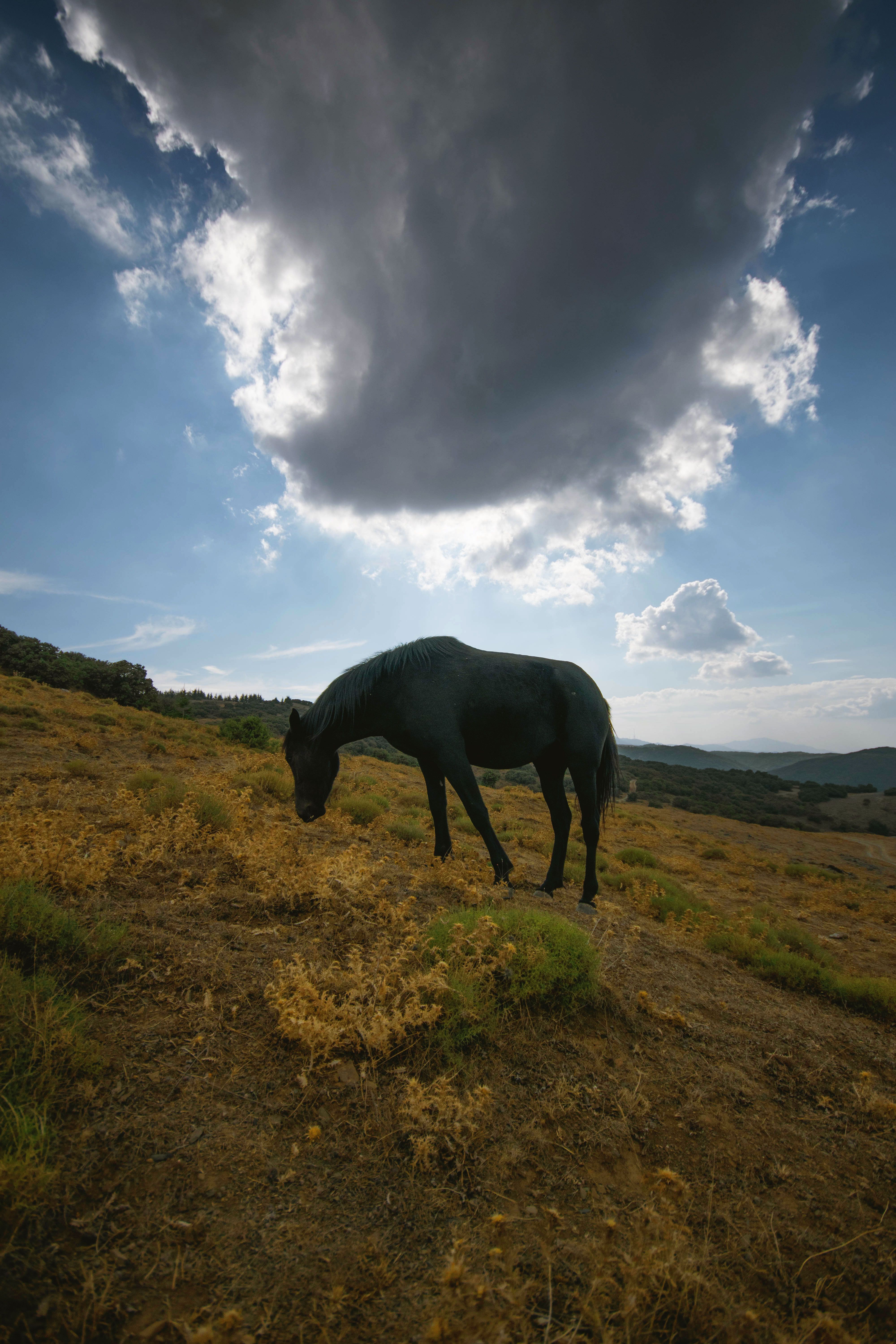Fotomural Fotolia