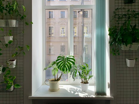 A bright room with potted plants on a windowsill, framed by leafy vines and sunlight casting shadows.