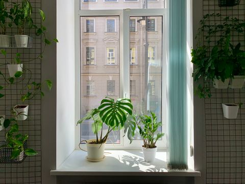 Artwork for Clear Space, Clear Mind: How Your Environment Shapes Your Well-being with Jessica Di Re