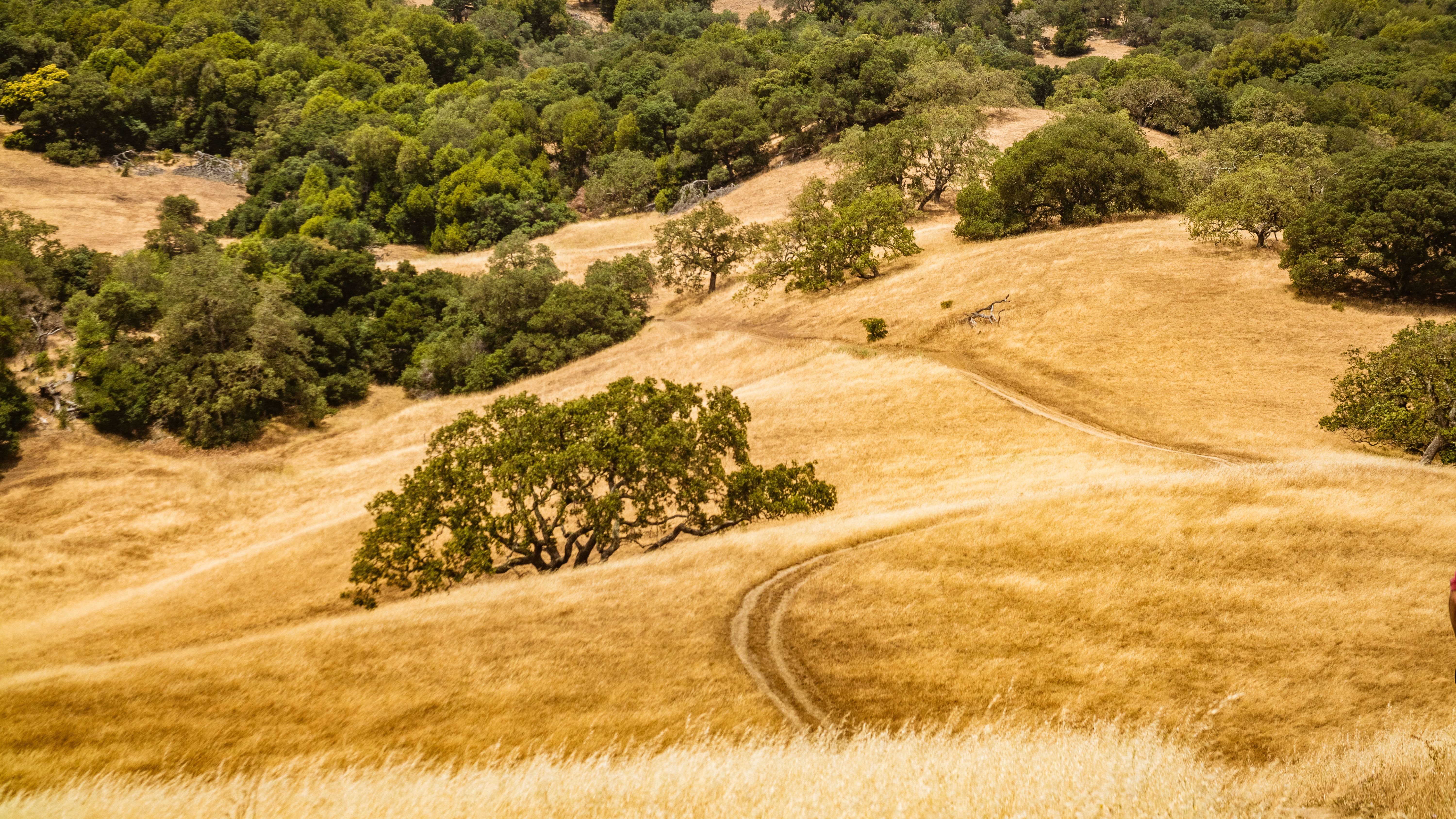 Is Now a Good Time to Sell Your Home in Simi Valley? 2026 Market Data and Expert Take