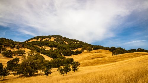 Free Golden grass fields and green hills under a clear blue sky. Stock Photo