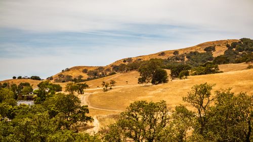 Free A picturesque view of a sunny countryside with rolling brown hills and scattered trees. Stock Photo
