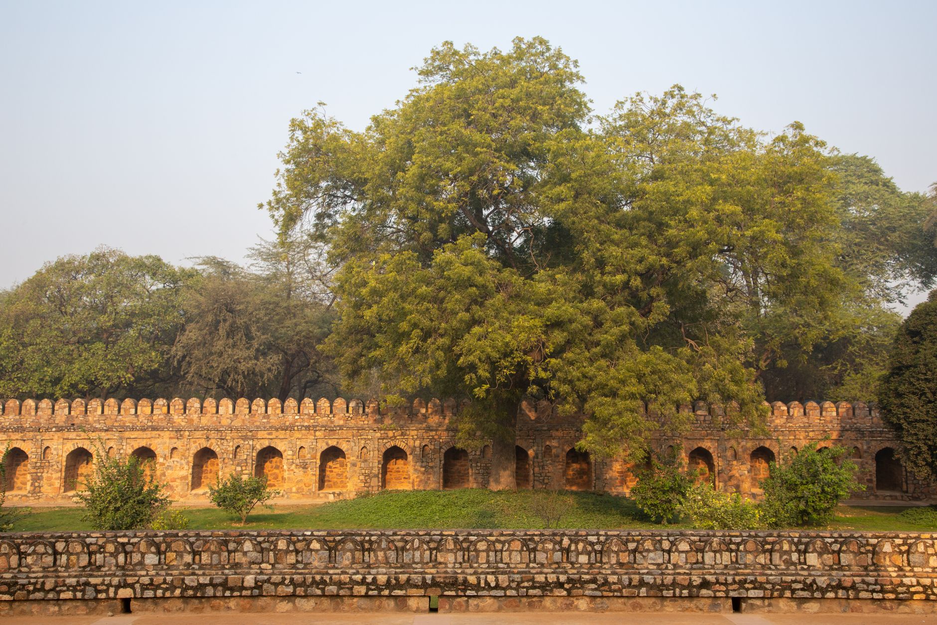 Fourteenth-century madrasa arches above the Hauz Khas reservoir with a deer park and city skyline beyond
