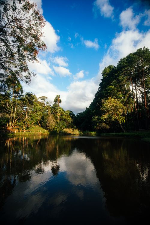 Free Peaceful lake reflecting trees and blue sky on a sunny day, ideal for nature lovers. Stock Photo