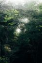 Mysticism Images