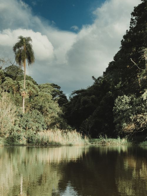 Free Peaceful scene depicting a calm lake surrounded by lush green trees and a cloudy blue sky. Stock Photo