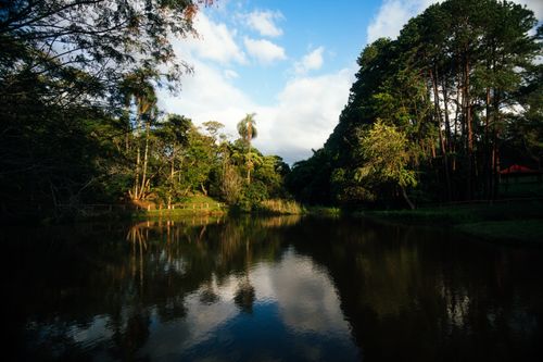Free A calm lake surrounded by green trees under a clear blue sky, capturing the tranquility of nature. Stock Photo