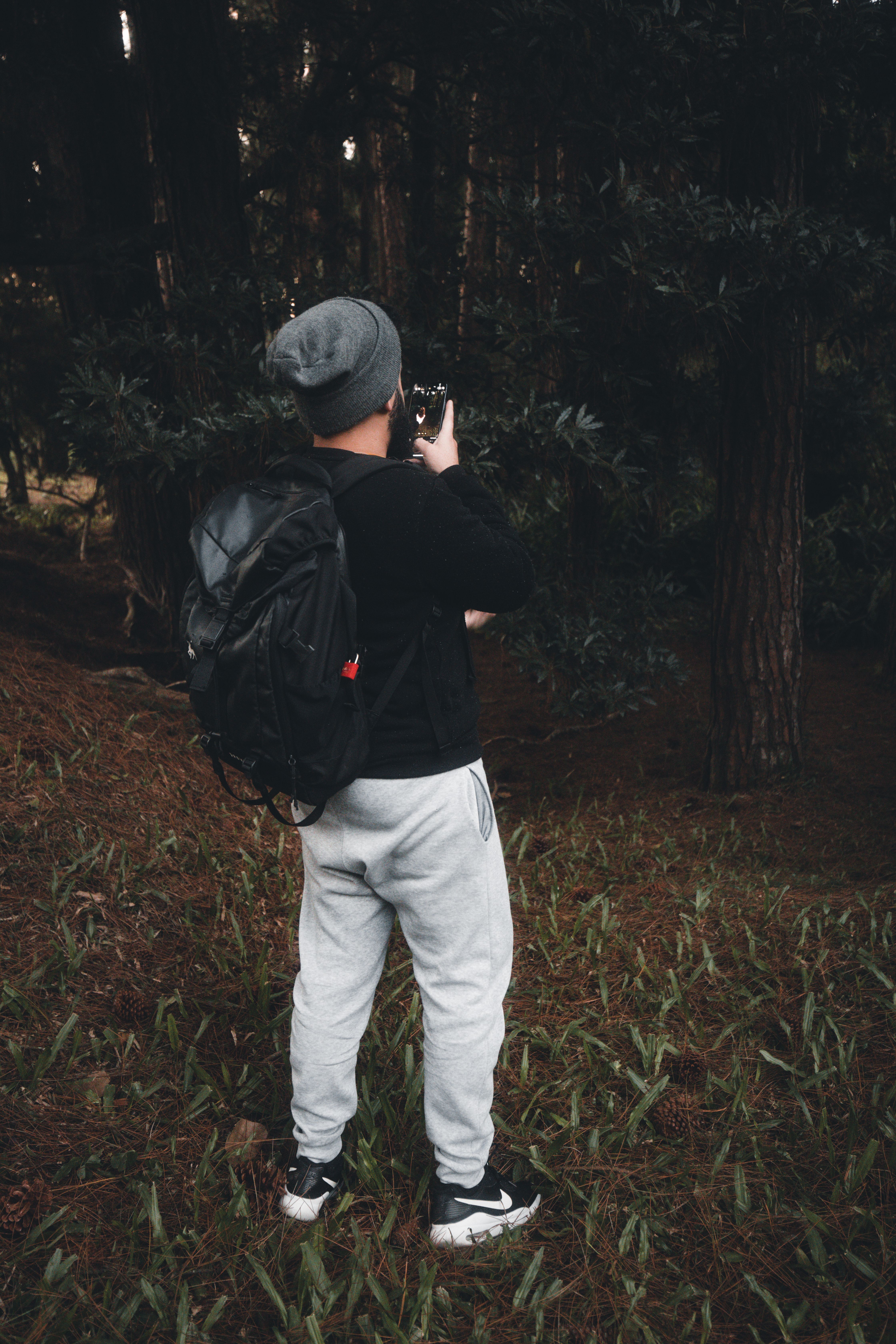 A man with a backpack photographs the forest, capturing nature's beauty.