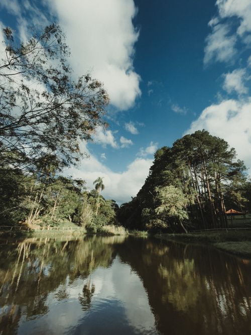 Free Serene lake scene with lush greenery and a cloudy sky reflecting on calm water. Stock Photo
