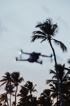 Aerial drone soaring through tropical palm trees during twilight.