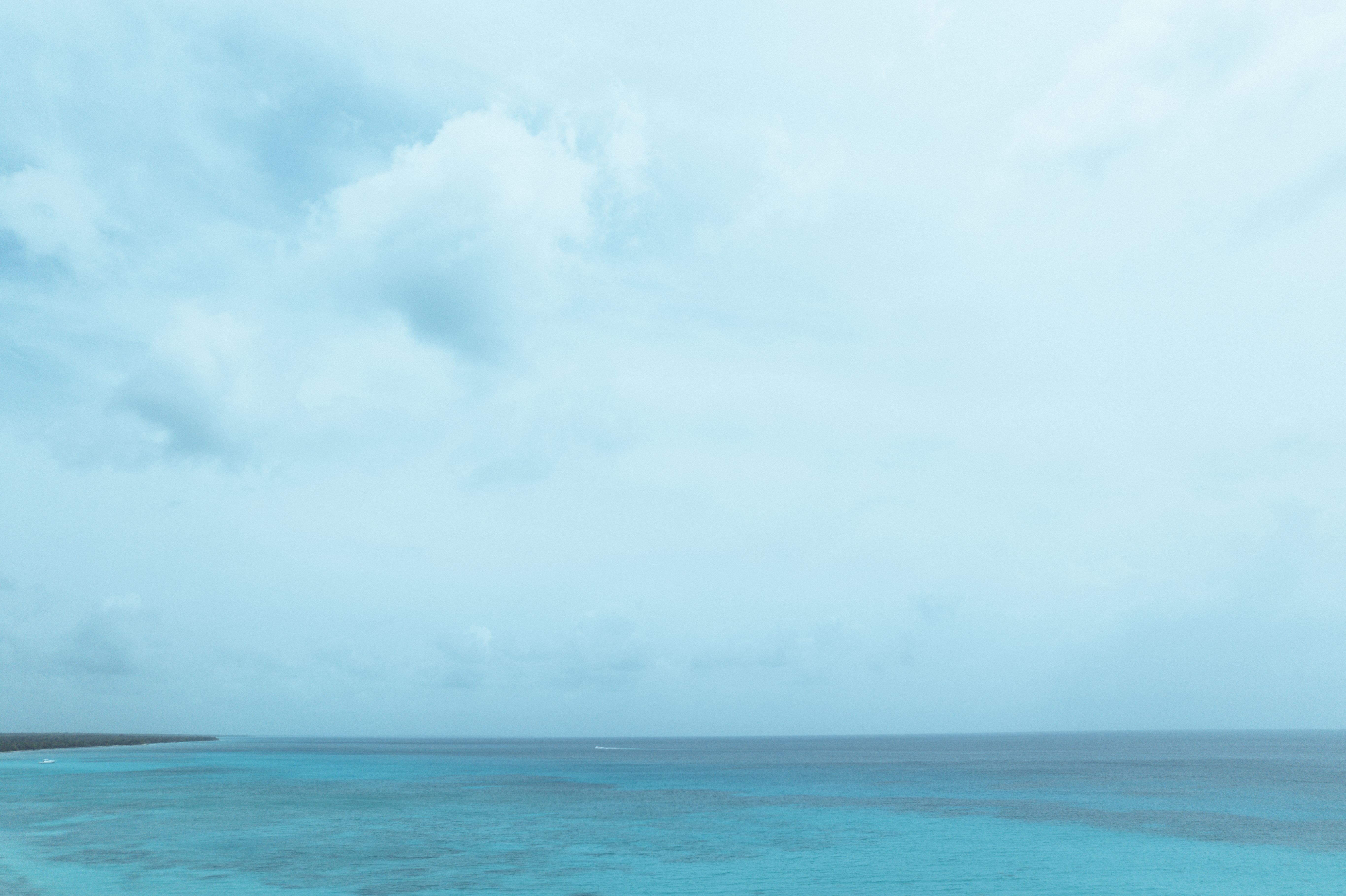 A View of the Sea · Free Stock Photo