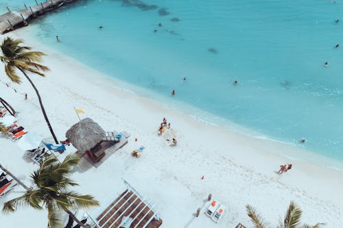 Free Beach on Sea Shore Stock Photo