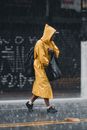 Rain check Images