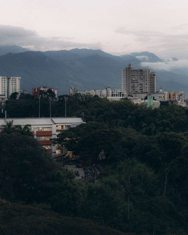 Photo Of Park, A City And Mountains